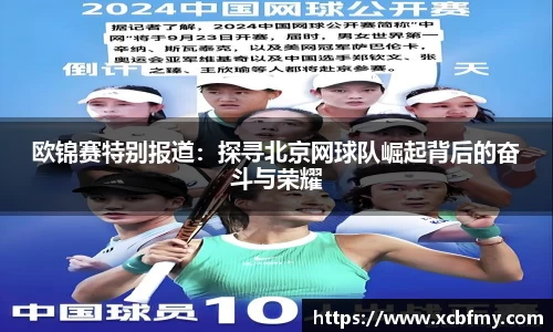 mk体育官网