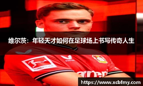 mk体育