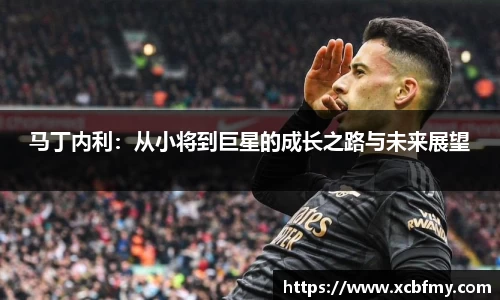 马丁内利：从小将到巨星的成长之路与未来展望