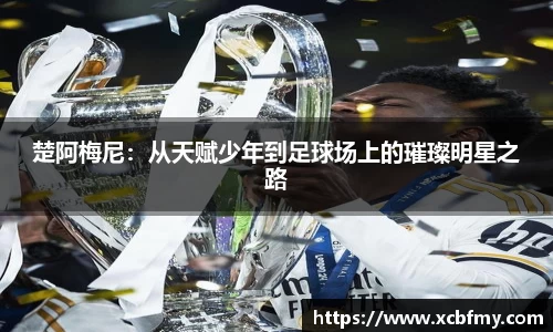 mk体育官网