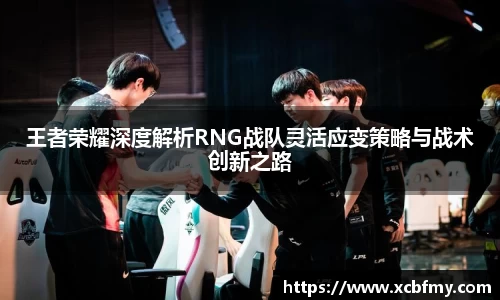 王者荣耀深度解析RNG战队灵活应变策略与战术创新之路