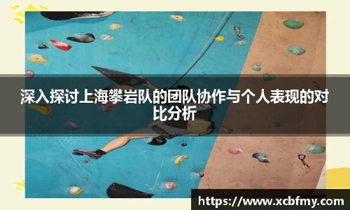 深入探讨上海攀岩队的团队协作与个人表现的对比分析
